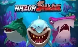 Razor Shark